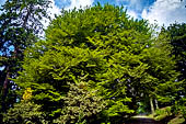 Biella - Parco della Burcina